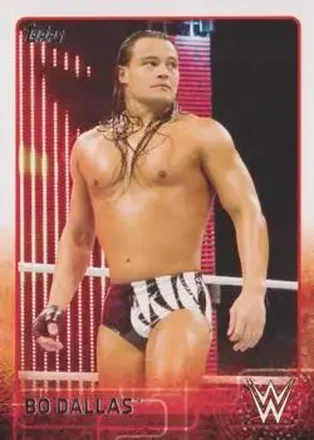 2015 Topps WWE #9 - Uncle Howdy