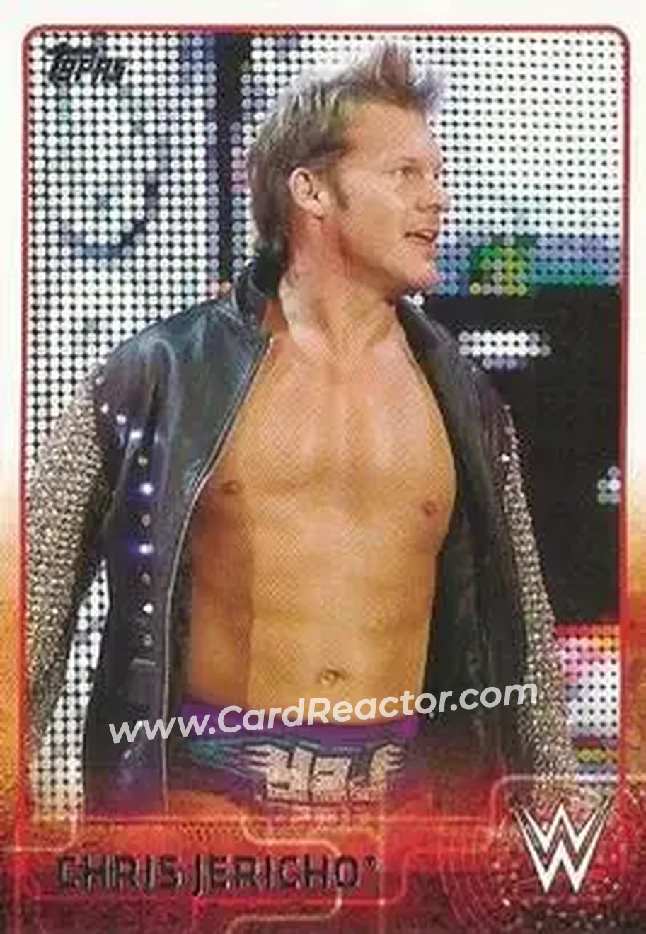 2015 Topps WWE #17 - Chris Jericho - Front