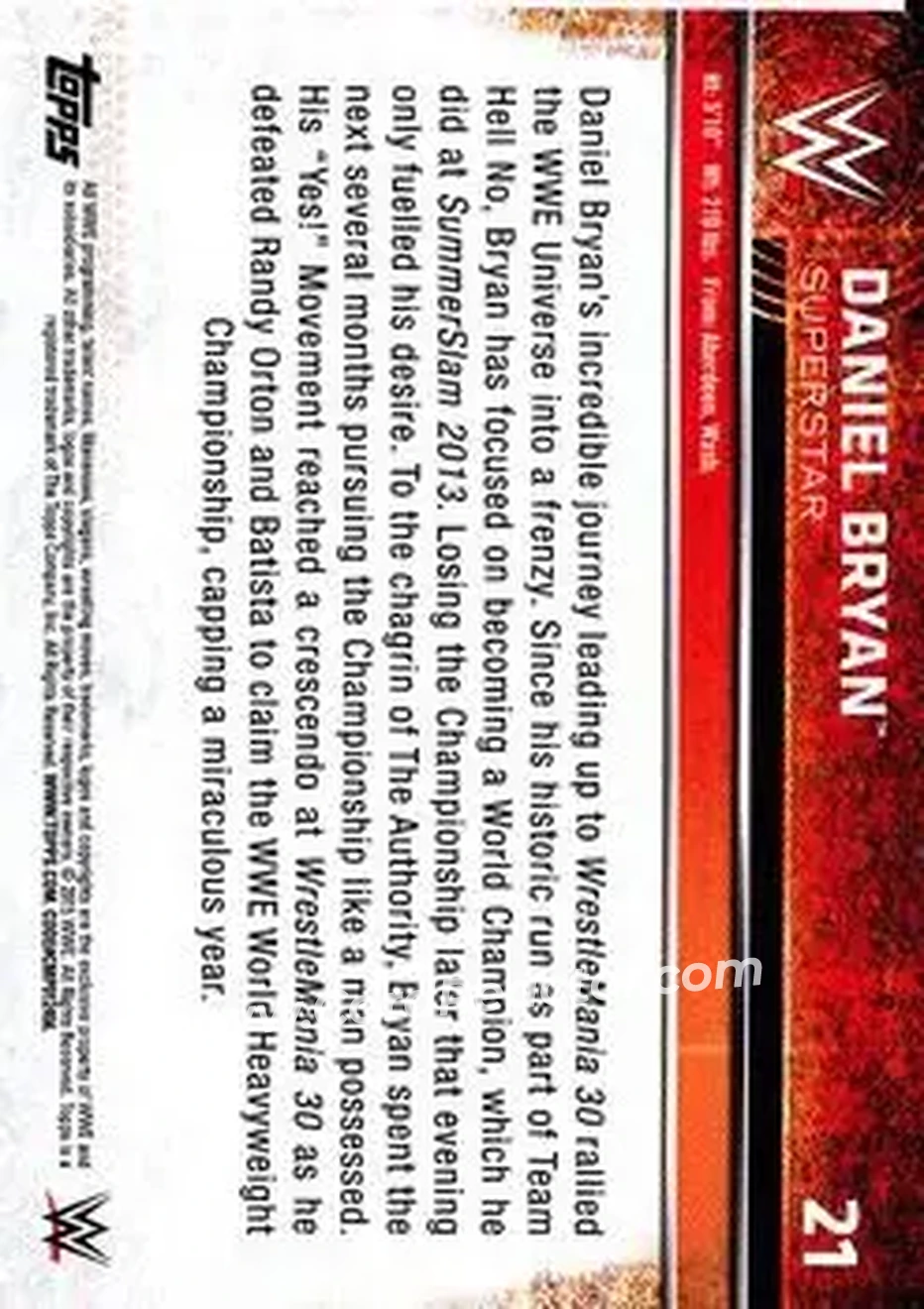 2015 Topps WWE #21 - Bryan Danielson - Back