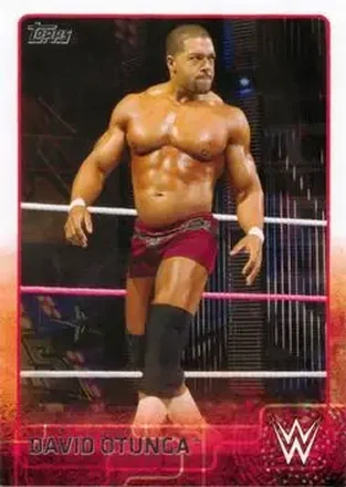 2015 Topps WWE #23 - David Otunga