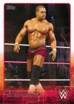 2015 Topps WWE feature card