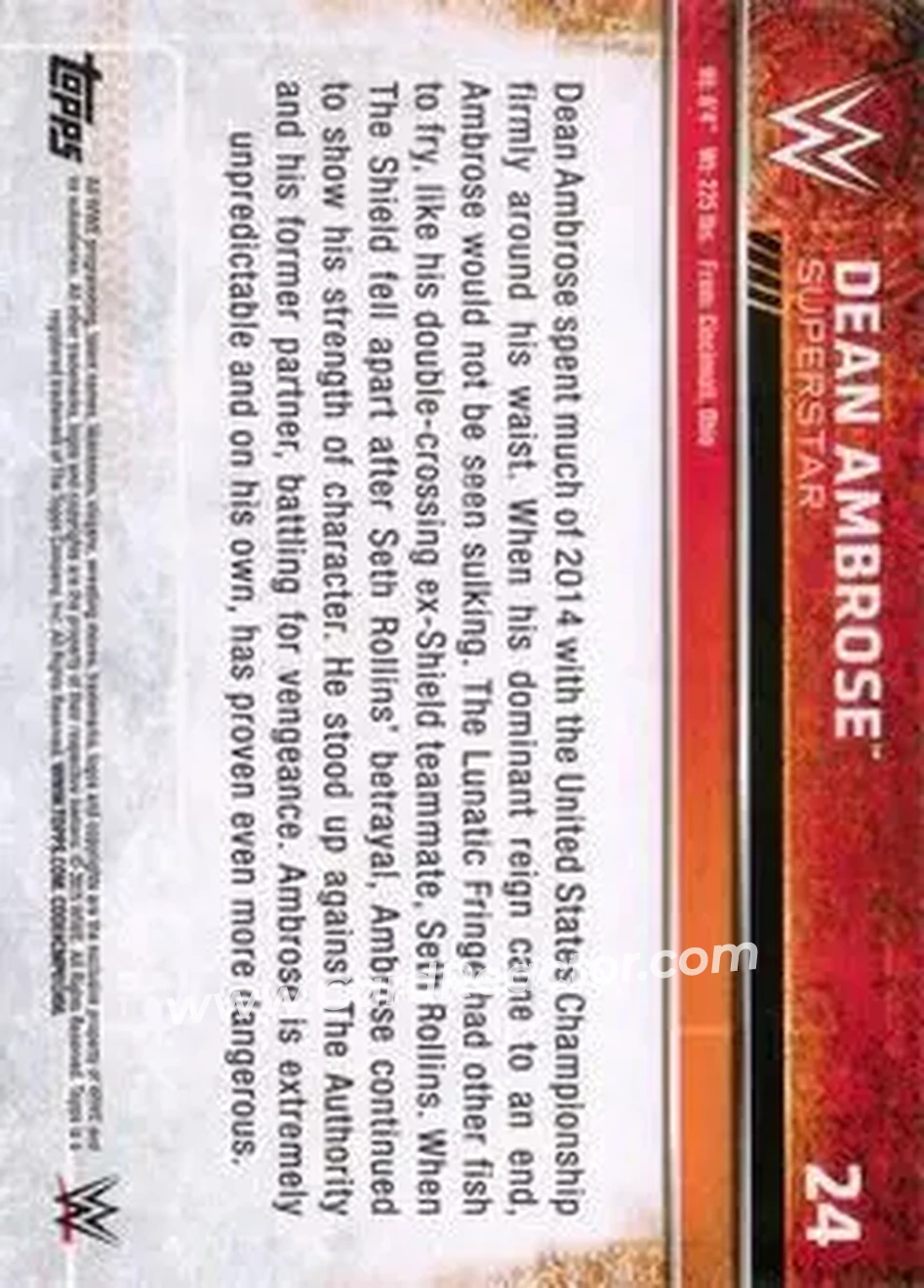 2015 Topps WWE #24 - Jon Moxley - Back