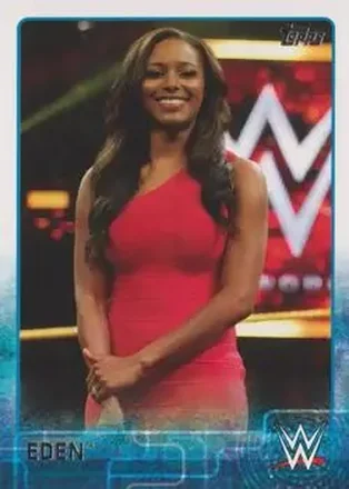 2015 Topps WWE #27 - Brandi Rhodes