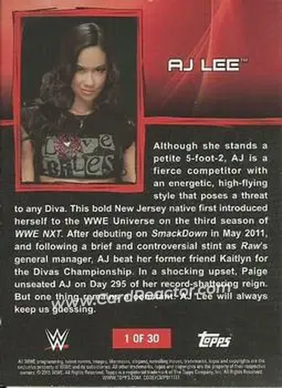 2015 Topps WWE Ringside Relic Dog Tags Inserts #1 - AJ Lee - Back 2015 Topps WWE Ringside Relic Dog Tags Inserts #1 - AJ Lee - Back