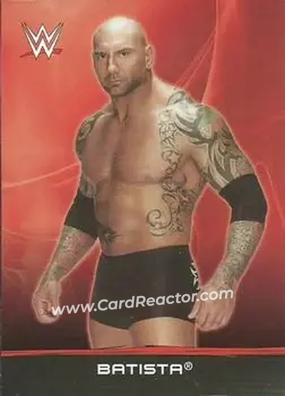 2015 Topps WWE Ringside Relic Dog Tags Inserts #3 - Batista - Front