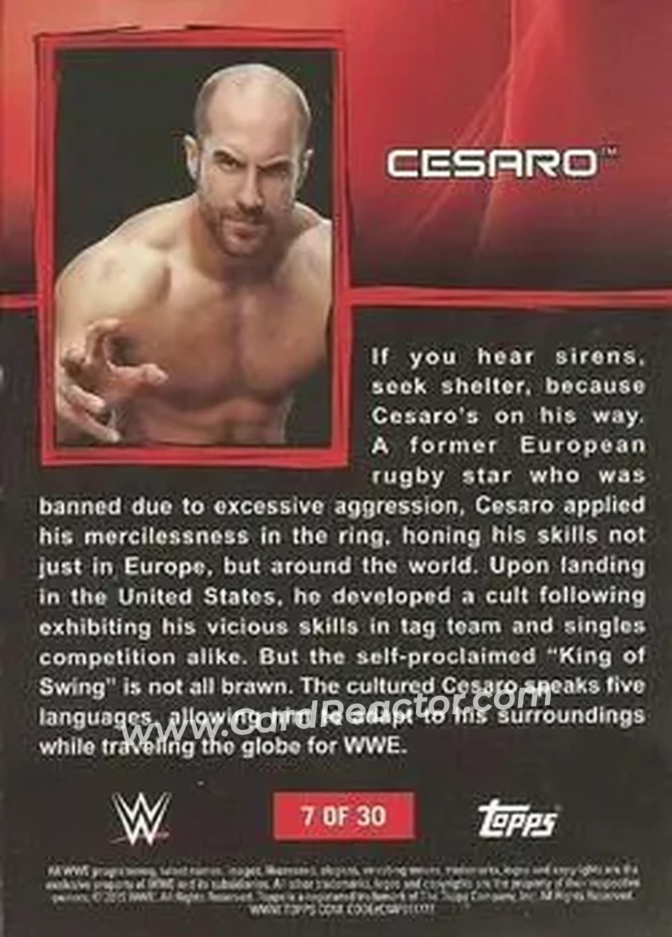 2015 Topps WWE Ringside Relic Dog Tags Inserts #7 - Claudio Castagnoli - Back