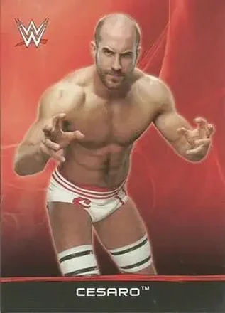 2015 Topps WWE Ringside Relic Dog Tags Inserts #7 - Claudio Castagnoli