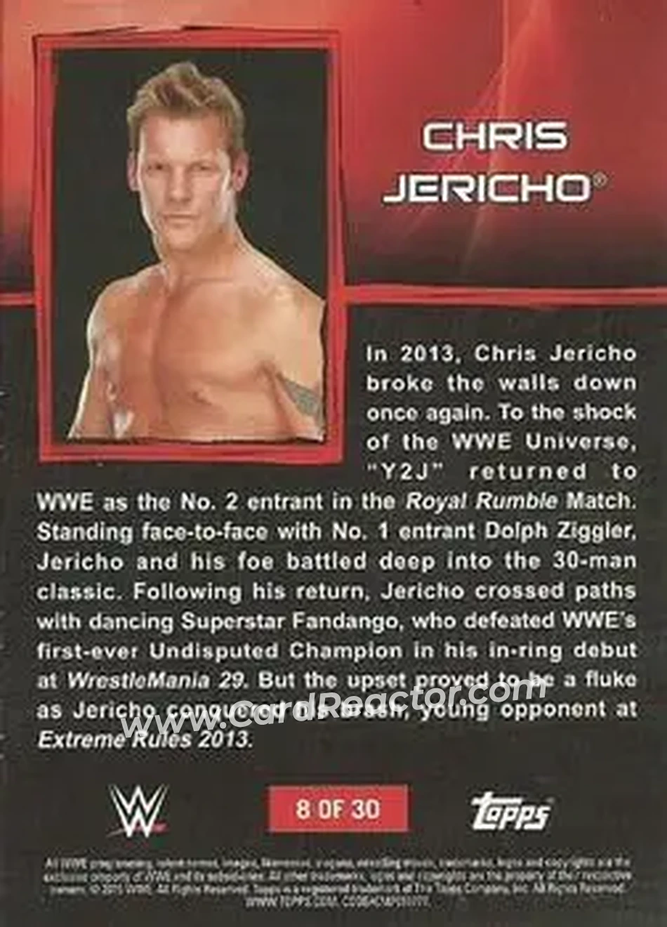 2015 Topps WWE Ringside Relic Dog Tags Inserts #8 - Chris Jericho - Back