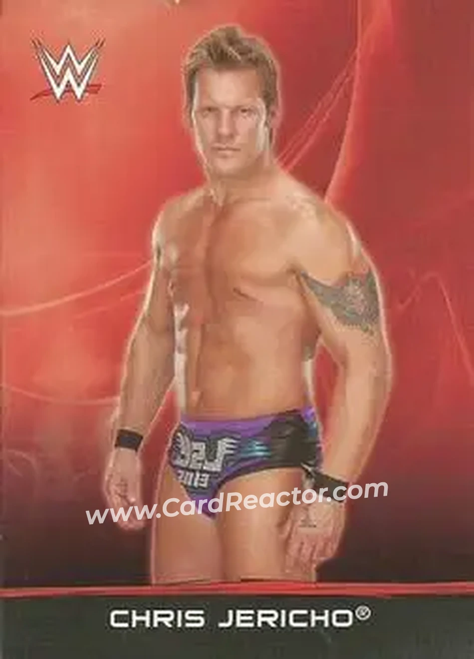 2015 Topps WWE Ringside Relic Dog Tags Inserts #8 - Chris Jericho - Front