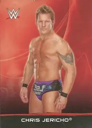 2015 Topps WWE Ringside Relic Dog Tags Inserts #8 - Chris Jericho
