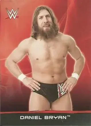 2015 Topps WWE Ringside Relic Dog Tags Inserts #9 - Bryan Danielson
