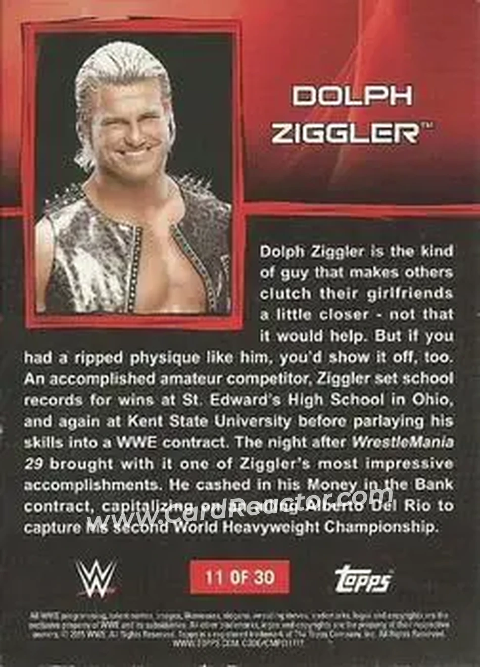 2015 Topps WWE Ringside Relic Dog Tags Inserts #11 - Dolph Ziggler - Back