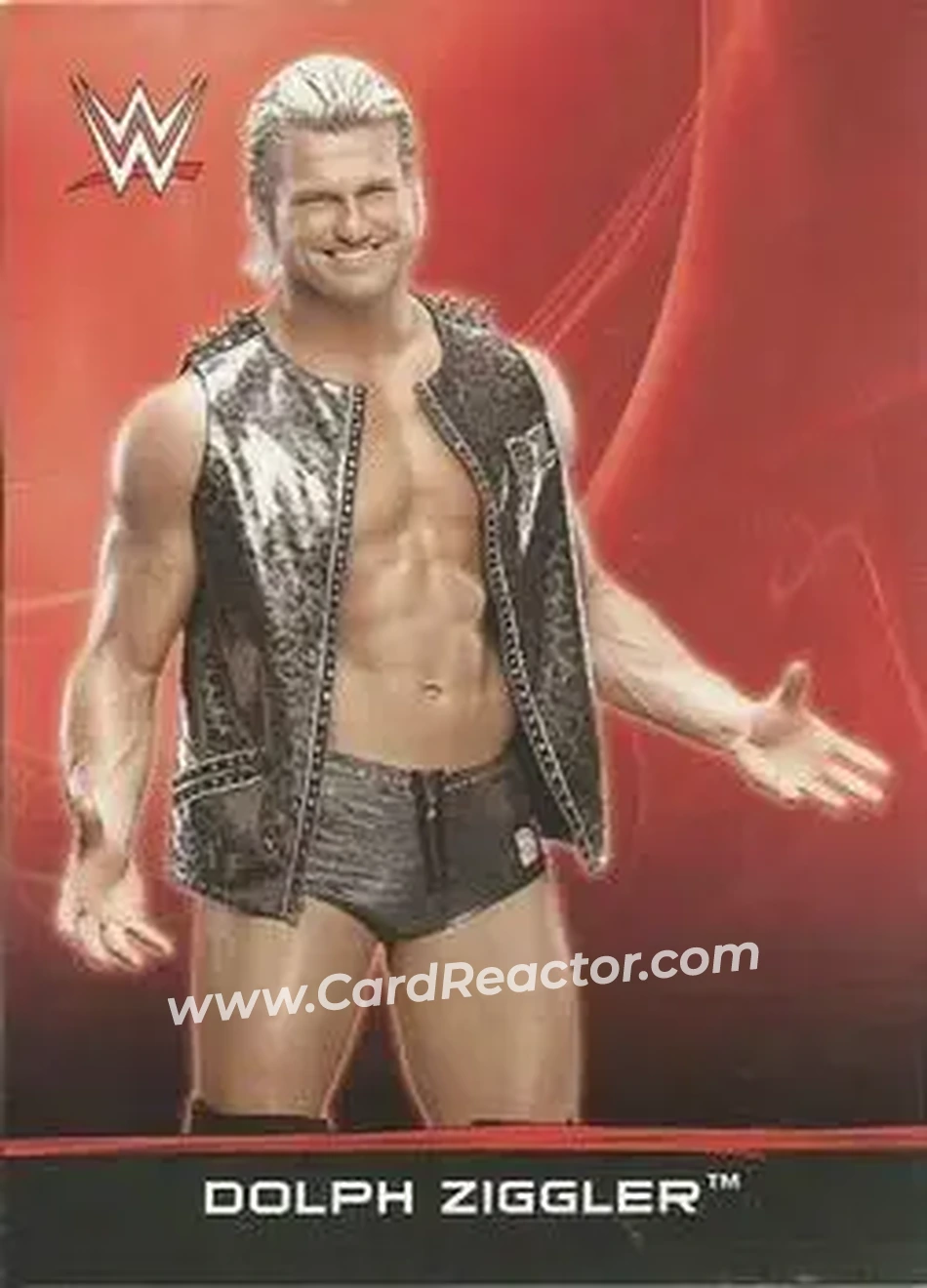 2015 Topps WWE Ringside Relic Dog Tags Inserts #11 - Dolph Ziggler - Front
