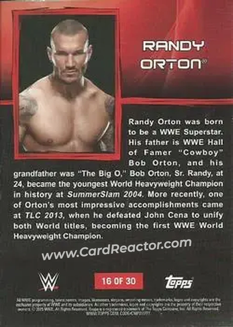 2015 Topps WWE Ringside Relic Dog Tags Inserts #16 - Randy Orton - Back