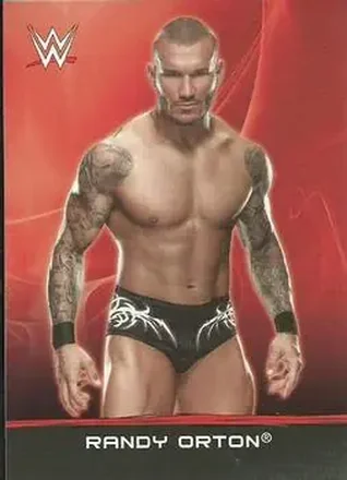 2015 Topps WWE Ringside Relic Dog Tags Inserts #16 - Randy Orton