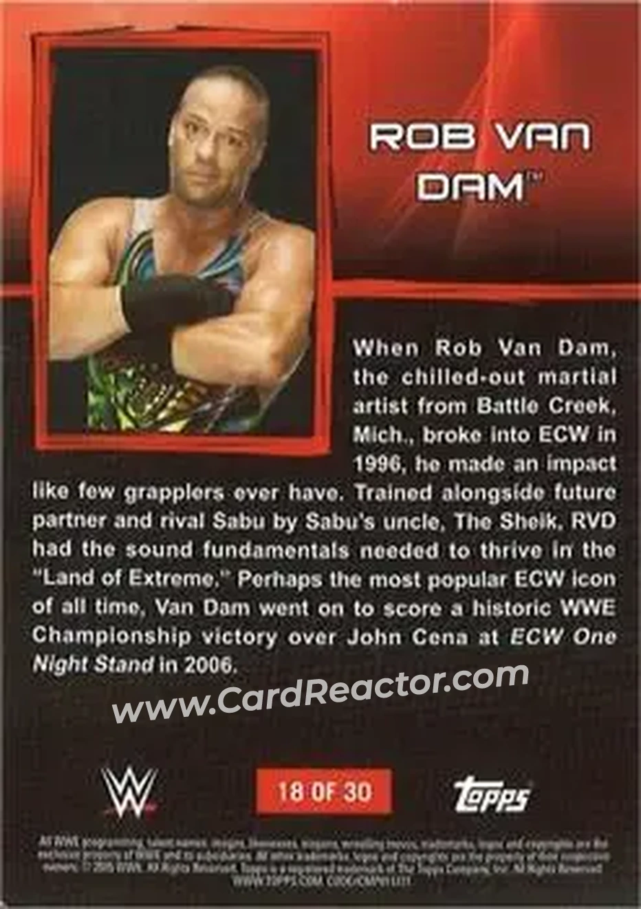2015 Topps WWE Ringside Relic Dog Tags Inserts #18 - Rob Van Dam - Back