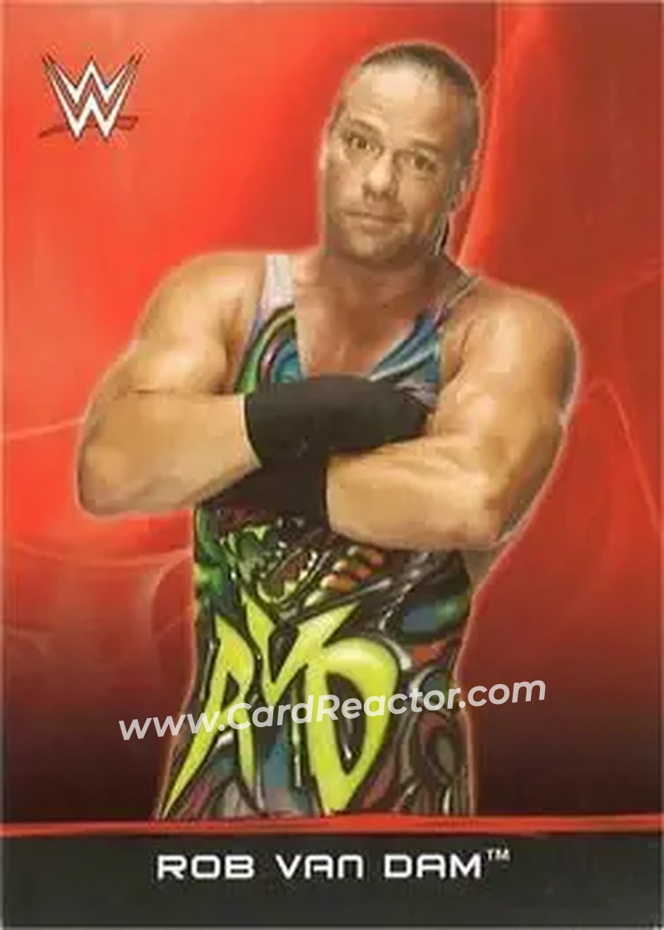 2015 Topps WWE Ringside Relic Dog Tags Inserts #18 - Rob Van Dam - Front