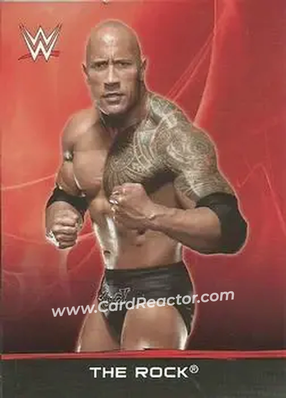 2015 Topps WWE Ringside Relic Dog Tags Inserts #19 - The Rock - Front
