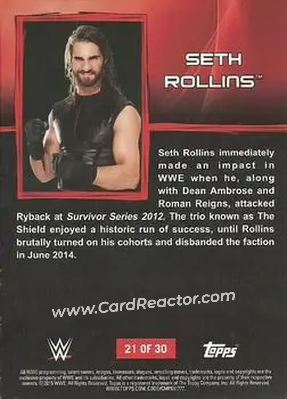 2015 Topps WWE Ringside Relic Dog Tags Inserts #21 - Seth "Freakin" Rollins - Back