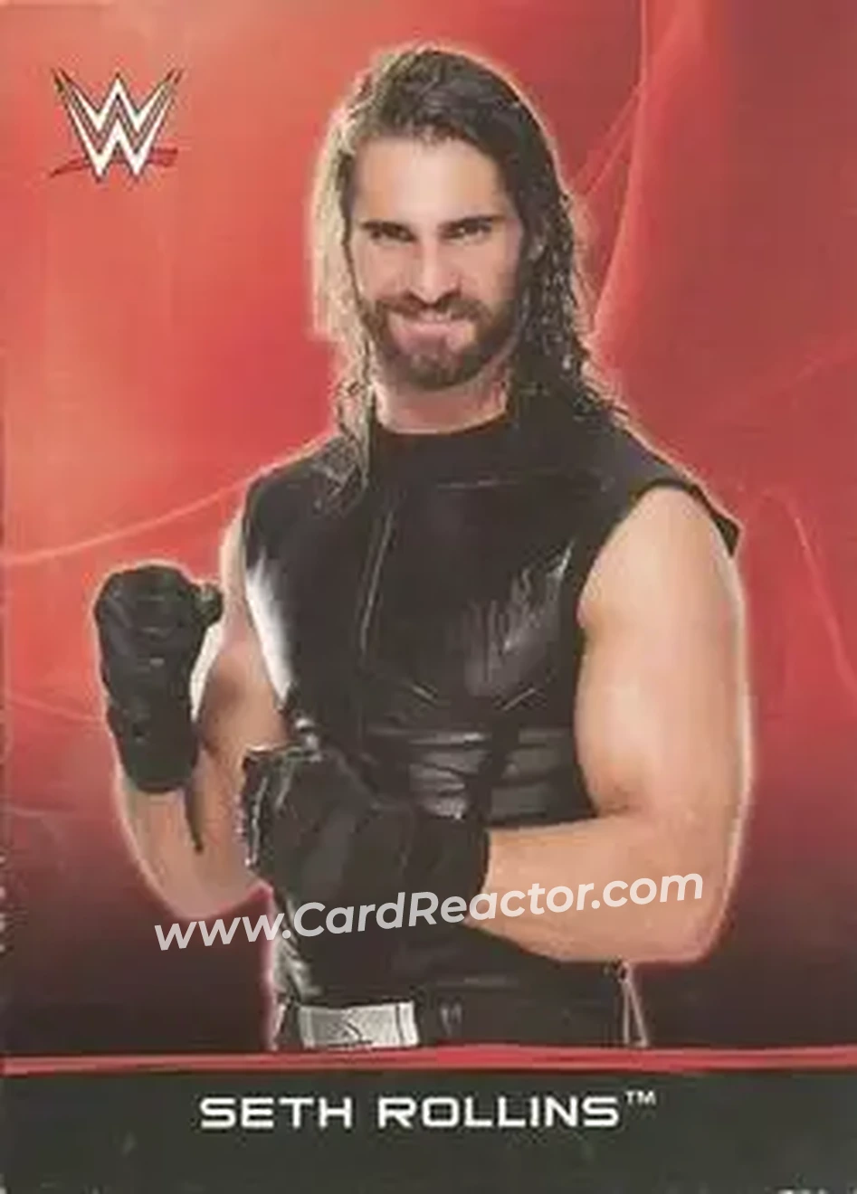 2015 Topps WWE Ringside Relic Dog Tags Inserts #21 - Seth "Freakin" Rollins - Front