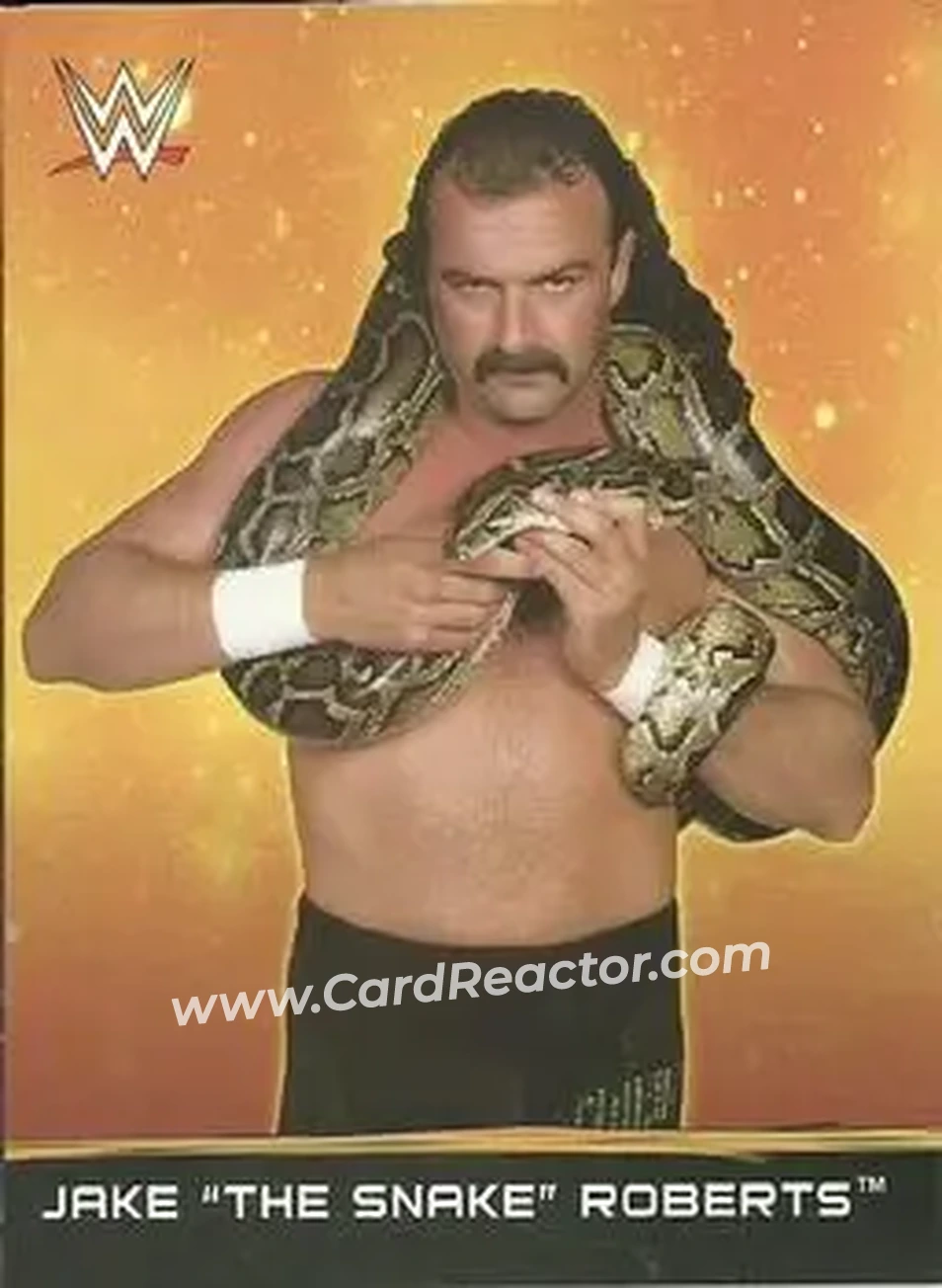 2015 Topps WWE Ringside Relic Dog Tags Inserts #26 - Jake "The Snake" Roberts - Front 2015 Topps WWE Ringside Relic Dog Tags Inserts #26 - Jake "The Snake" Roberts - Front