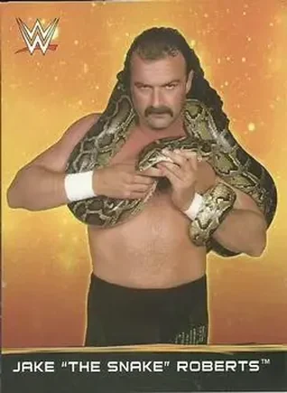 2015 Topps WWE Ringside Relic Dog Tags Inserts #26 - Jake "The Snake" Roberts