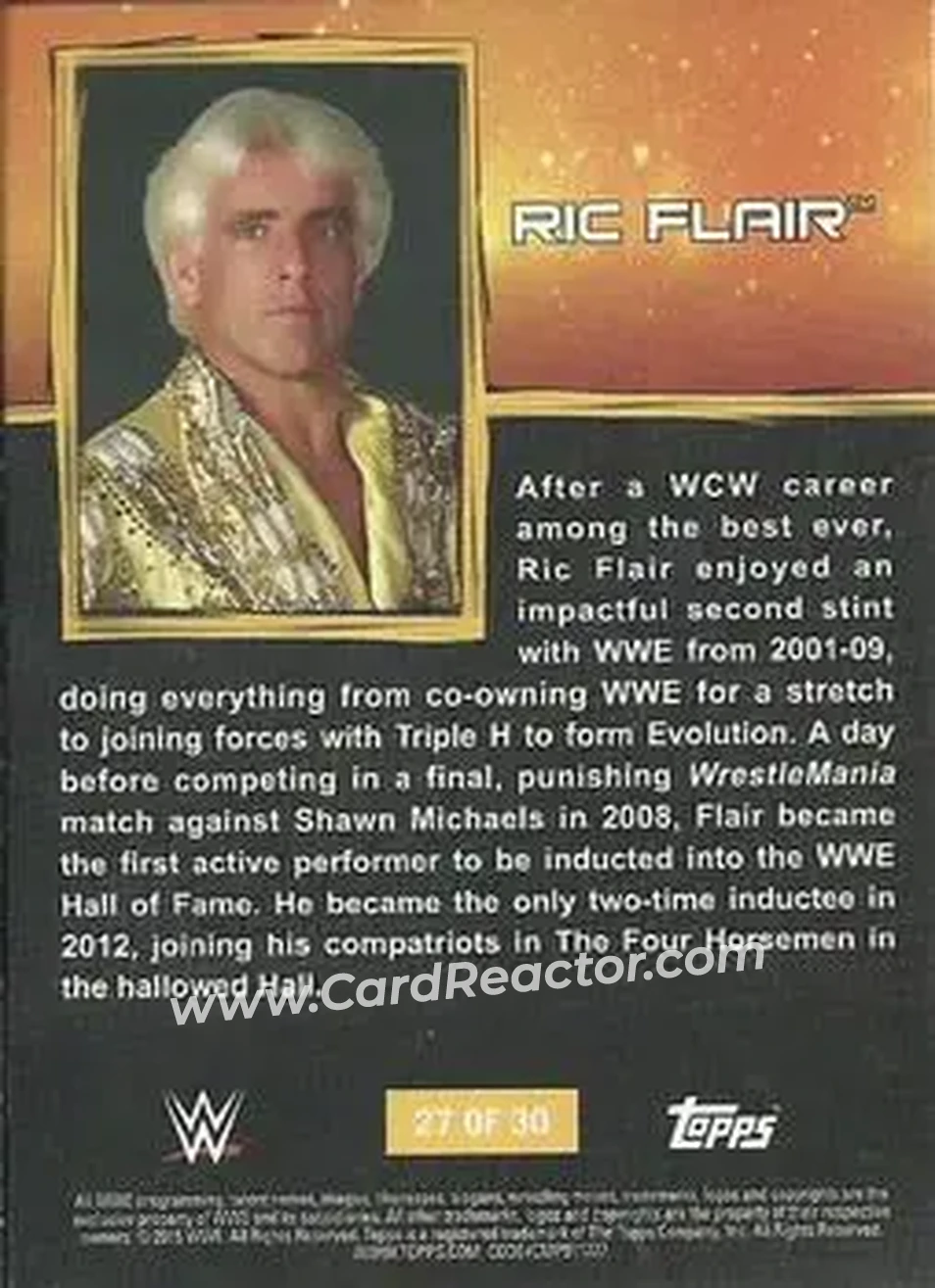 2015 Topps WWE Ringside Relic Dog Tags Inserts #27 - Ric Flair - Back