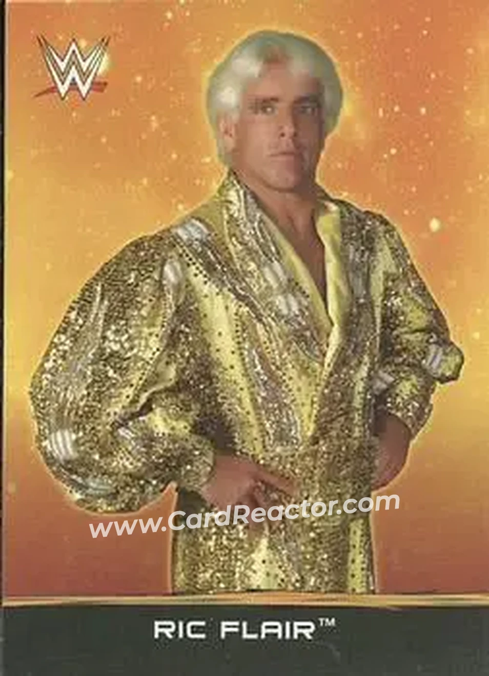 2015 Topps WWE Ringside Relic Dog Tags Inserts #27 - Ric Flair - Front