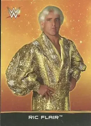 2015 Topps WWE Ringside Relic Dog Tags Inserts #27 - Ric Flair