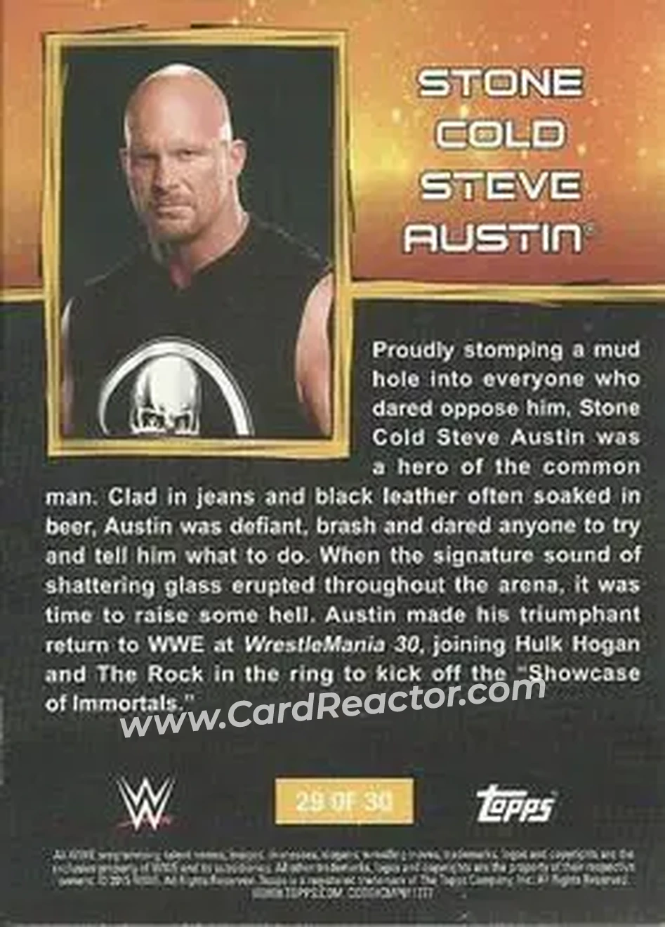 2015 Topps WWE Ringside Relic Dog Tags Inserts #29 - "Stone Cold" Steve Austin - Back 2015 Topps WWE Ringside Relic Dog Tags Inserts #29 - "Stone Cold" Steve Austin - Back