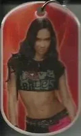 2015 Topps WWE Ringside Relic Dog Tags Inserts - Dog Tags #NNO - AJ Lee