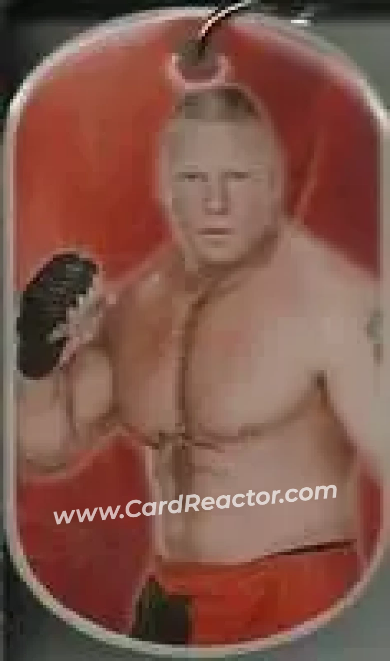 2015 Topps WWE Ringside Relic Dog Tags Inserts - Dog Tags #NNO - Brock Lesnar - Front 2015 Topps WWE Ringside Relic Dog Tags Inserts - Dog Tags #NNO - Brock Lesnar - Front