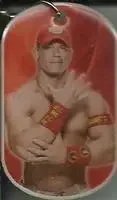 2015 Topps WWE Ringside Relic Dog Tags Inserts feature card