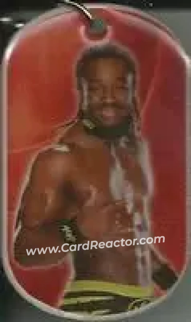 2015 Topps WWE Ringside Relic Dog Tags Inserts - Dog Tags #NNO - Kofi Kingston - Front 2015 Topps WWE Ringside Relic Dog Tags Inserts - Dog Tags #NNO - Kofi Kingston - Front