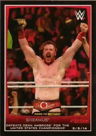 2015 Topps WWE Road to Wrestlemania #16 - Sheamus