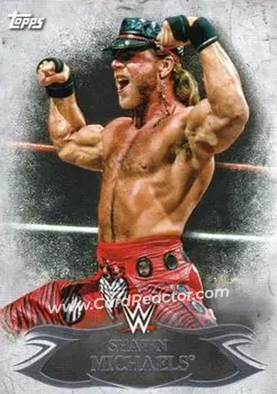 2015 Topps WWE Undisputed #18 - Shawn Michaels - Front