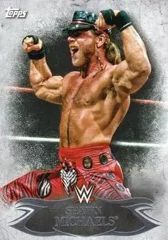 2015 Topps WWE Undisputed feature card