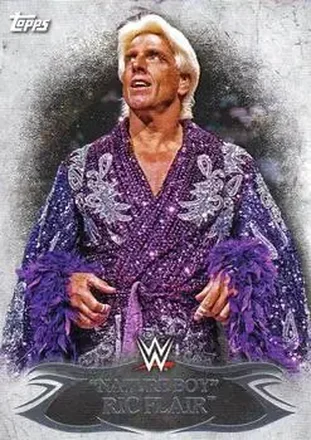 2015 Topps WWE Undisputed #20 - Ric Flair