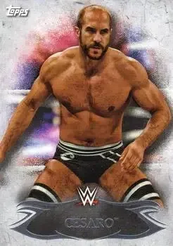 2015 Topps WWE Undisputed feature card