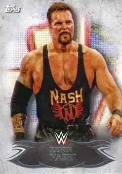 2015 Topps WWE Undisputed feature card