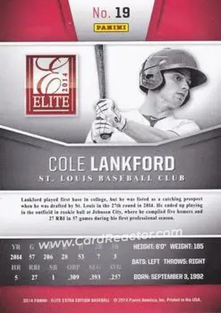 2014 Panini Elite Extra Edition #19 - Cole Lankford - St. Louis Cardinals - Back