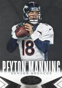 2014 Panini Certified feature card