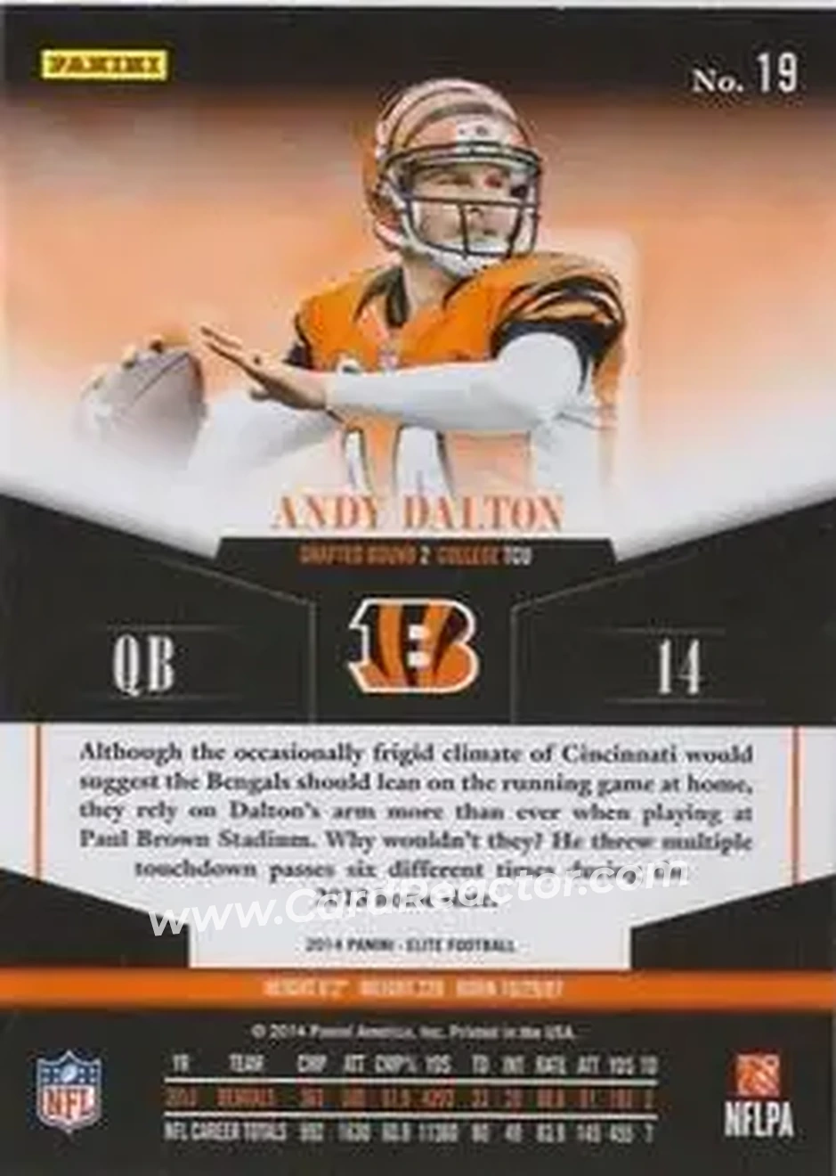 2014 Panini Elite #19 - Andy Dalton - Cincinnati Bengals - Back