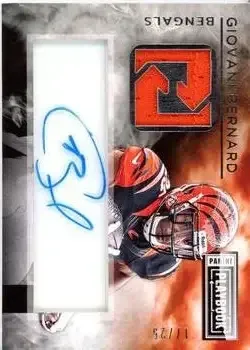 2014 Panini Playbook feature card