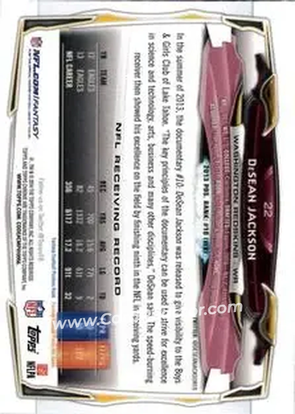 2014 Topps Chrome Mini #22 - DeSean Jackson - Washington Redskins - Back