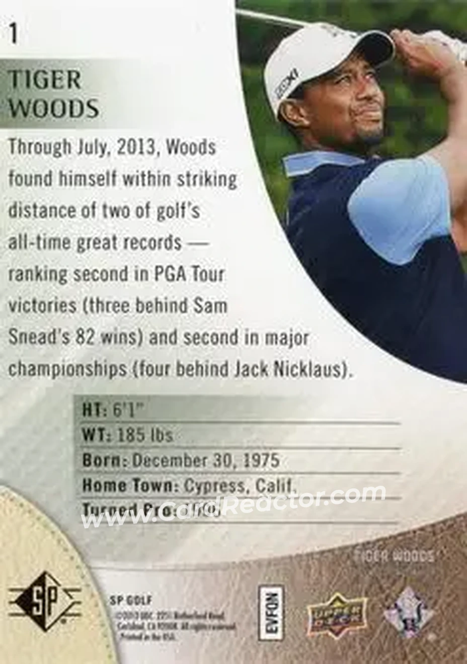 2014 SP #1 - Tiger Woods - Back