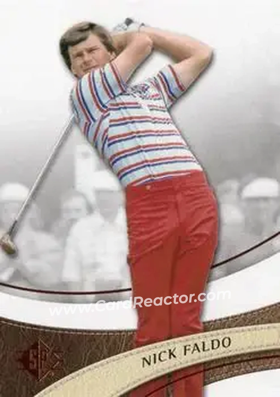2014 SP #19 - Nick Faldo - Front