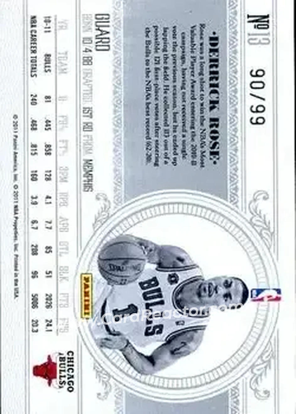 Back of Derrick Rose