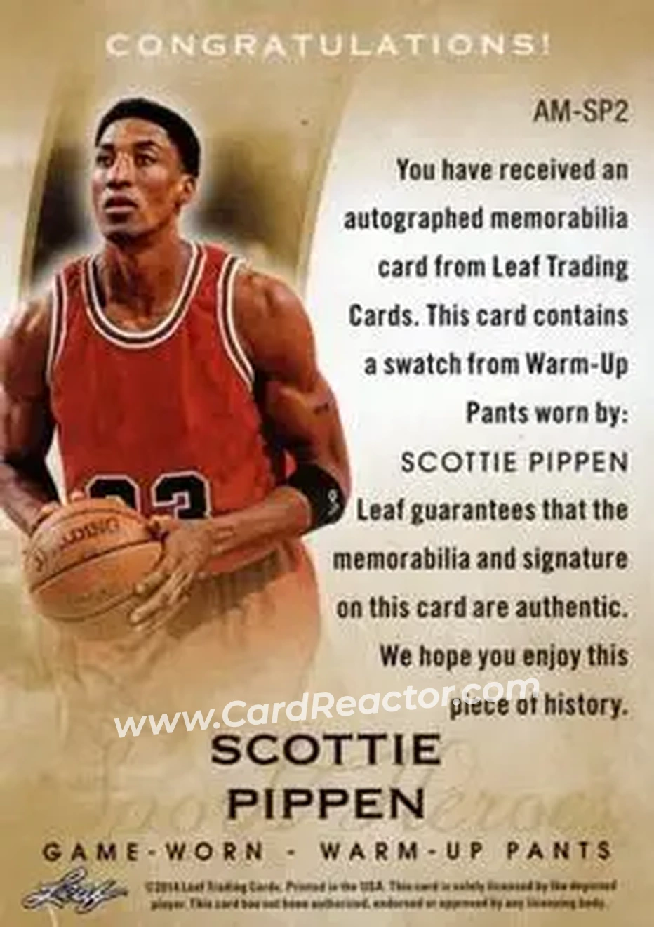 2014 Leaf Q - Autographed Memorabilia #AM-SP2 - Scottie Pippen - Chicago Bulls - Back
