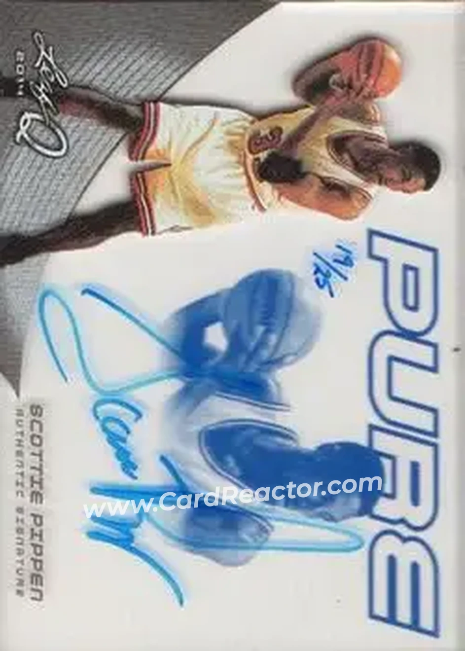 2014 Leaf Q - Pure #P-SP1 - Scottie Pippen - Chicago Bulls - Front